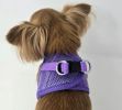 Paisley Purple